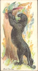 Players - Wild Animals of the World, 'issued by', no 'branch' - Black Panther - Picture 1 of 1