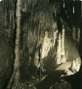 Germany Bavaria Streitberg Binghöhle Bing Cave Old NPG Stereoview Photo 1906 #23 - Bild 1 von 3