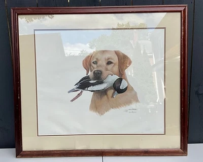 Impresión de caza de pato Labrador Retriever firmada por Louis Frisino 548/950 enmarcada Foto 1 de 4