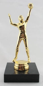 VOLLEYBALL SPORTS TROPHY OR AWARD FREE ENGRAVING - Picture 1 of 1