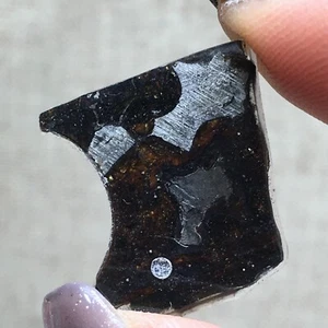 5.95Ct Brenham Olive Meteorite Pendant Olive Meteorite Slice - Picture 1 of 6