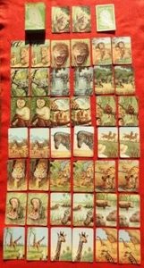 PEPYS 1955 JUNGLE THRILLS BOXED CARD GAME (RACEY HELPS) WITH INSTRUCTIONS - Foto 1 di 6