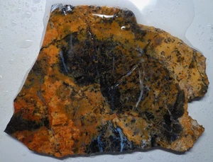 WRG- Rainbow Ledge Jasper Agate Slab 114 grams California Lapidary - Picture 1 of 4