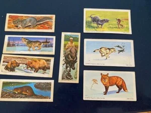 Trade Ad Nabisco Vtg Card Lot 8 National Biscuit, Federal Sweets, Animal Heroes - Picture 1 of 8