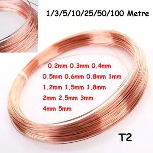 Kupferdraht 0.2mm 0.3mm 0.4mm 0.5mm 0.6mm 0.8mm 1mm 2mm -5mm Runder Massiv Blank - Picture 1 of 6