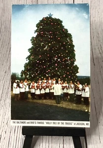 Baltimore And Ohio's Famous Holly Tree By The Tracks At Jackson, Maryland - Picture 1 of 4