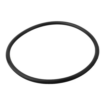 Easy Replacement O-Ring Restore SPX3000T Housing Gasket Smooth Pool Operation - Image 1 of 4