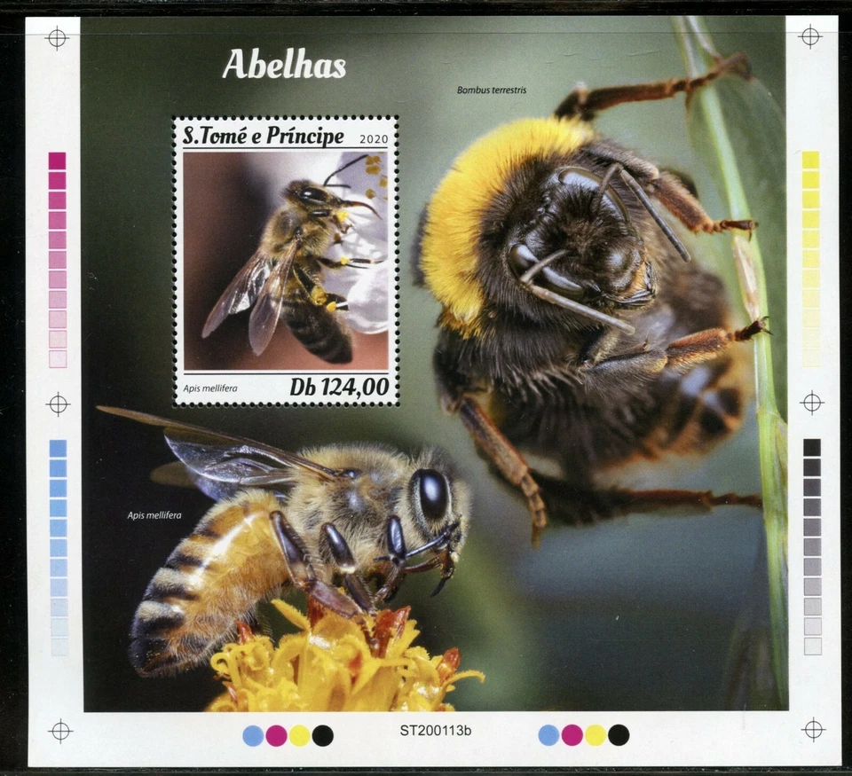 Sao Tomé 2020 Api Souvenir Foglio come Nuovo Nh - Immagine 1 di 1