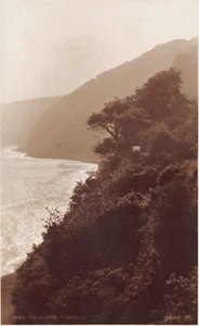 POSTCARD - THE CLIFFS - CLOVELLY - DEVON - JUDGES - Picture 1 of 2