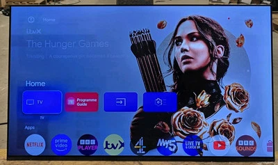 Sony BRAVIA XR-55A84L 4K UHD OLED Smart TV - IMAGE RETENTION - Image 1 of 4