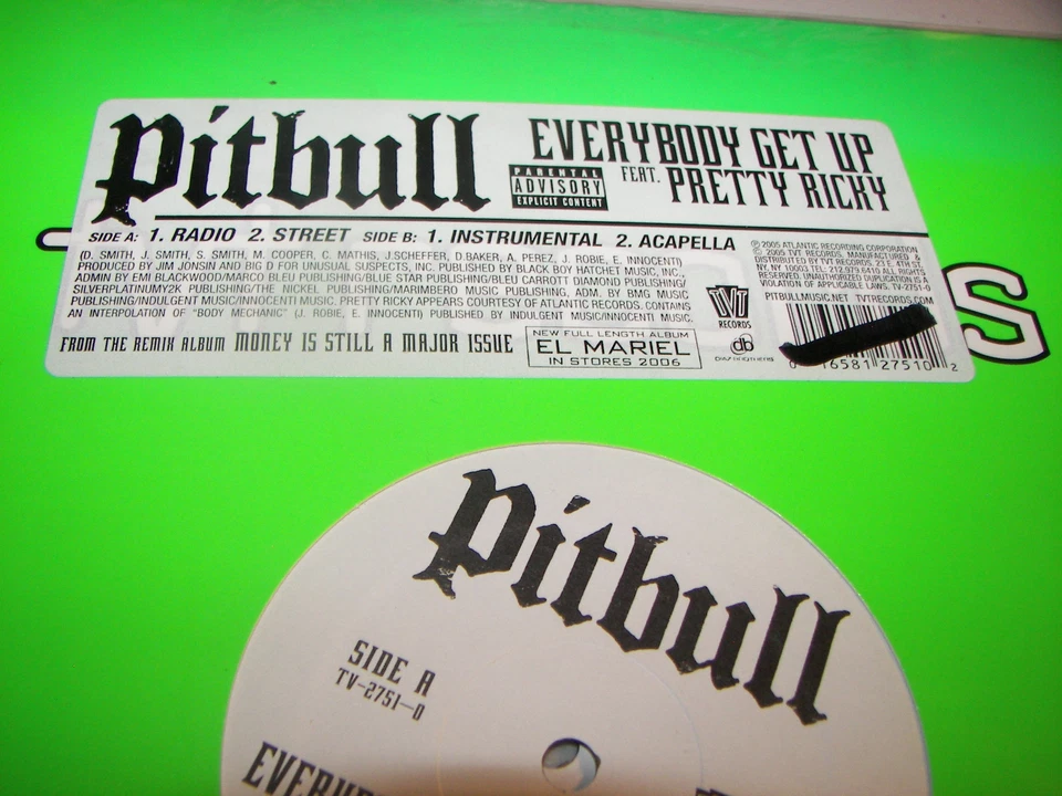 Pitbull Everybody Get Up w/Pretty Ricky 12" Single NM TVT TV-2751-0 PROMO Foto 1 de 1