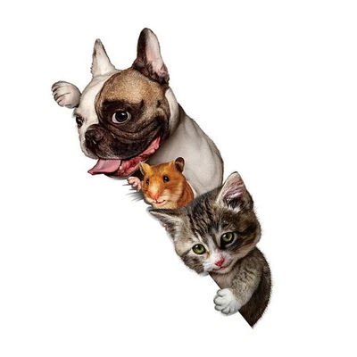  2 Pcs Adesivi Murali Camera Da Letto Pareti Adesivo Parete Bagno - Image 1 of 4