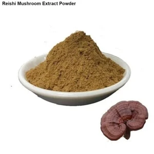 Reishi Pilz Extrakt Pulver 25% Polysaccharid 5000 Gramm - Bild 1 von 1