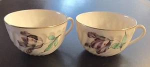 ESTATE Set Of 2 NYMPHENBURG China Floral TEACUPS Gold Rim GERMANY Rare FREE SHIP - Picture 1 of 10