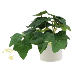 Mini Artificial Plant Potted Indoor Decoration in White Pot Fake Plants Reali... - Picture 1 of 7