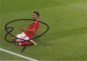 WALES & ASTON VILLA: NEIL TAYLOR SIGNED 6x4 EURO 2016 GOAL CELEBRATION PHOTO+COA - Picture 1 of 1