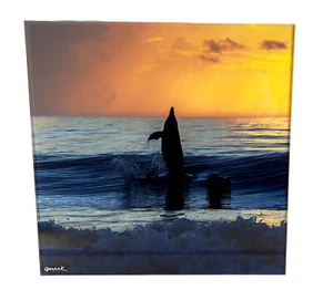 Acryl Kunst Fotodruck "Delfin Sonnenaufgang" JMacK Bilder 12x12 Profi Druck - Bild 1 von 10