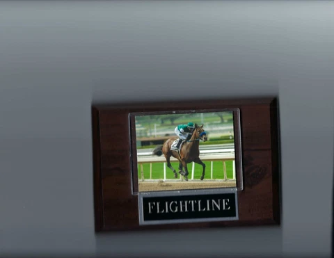 FLIGHTLINE PLAQUE HORSE RACING TURF Cover