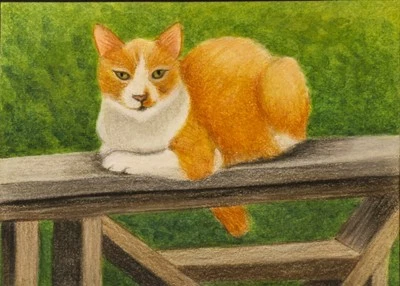 Gucci The Cat, ACEO Original, Color Pencil/Watercolor, 2.5x3.5, Signed - Image 1 of 2