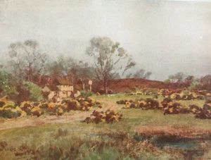 Antique Hampshire Print C1909 – Deer’s Hut Inn Wolmer Forest – Wilfrid Ball Art - Picture 1 of 4