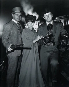 Robert Conrad Ross Martin Suzanne Pleshette Stern im Wilden Wilden Westen 8 x 10 - Bild 1 von 2