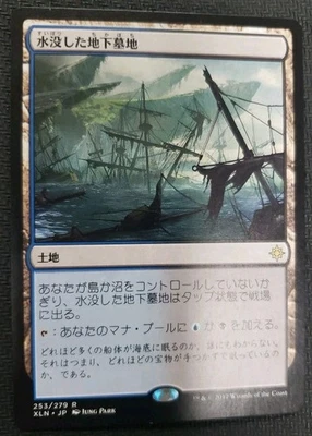 MTG *Drowned Catacomb Japanese X1* (NM) Ixalan Magic the Gathering - Image 1 of 2
