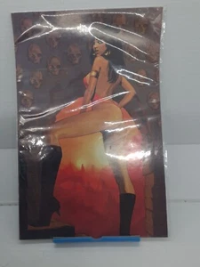 Vampirella Quarterly #1 2008 Summer Virgin Variant Comic Saga Fiona Staples NM - Picture 1 of 7