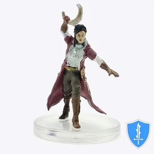 Sonnenelfe Arkaner Kleriker - Waterdeep Dragon Heist #22 D&D Miniatur - Bild 1 von 2