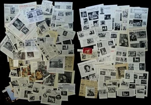 CHIHUAHUA MEXICAN DOG Cuttings Pages Adverts Breed History Research Articles etc - Picture 1 of 3