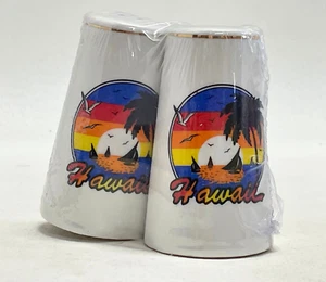 Vintage 1980's Hawaii Souvenir Ceramic Salt & Pepper Shakers - Still Sealed - Picture 1 of 9