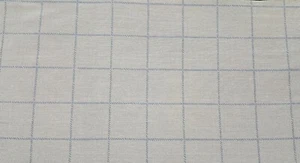 Tela semi transparente de polietileno/algodón a cuadros blancos y azules de 9 1/2" - 10 yardas - Imagen 1 de 1