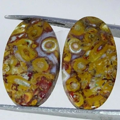 Par de piedras preciosas cabujón ovaladas de ágata raíz de palma ultra natural de 18,30 quilates 12X21X4 mm Foto 1 de 4