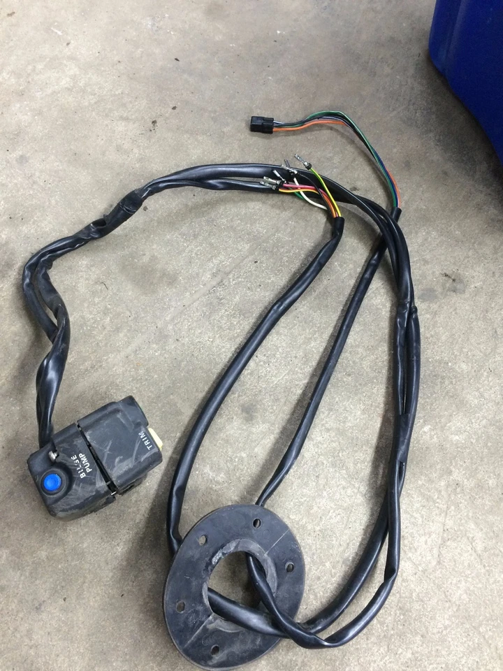 1997 tigershark daytona 1000 interruptor de parada de partida - Imagem 1 de 1