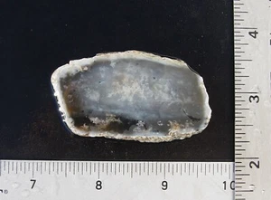 Dendritische Achat Lapidarplatte T967 - Bild 1 von 11