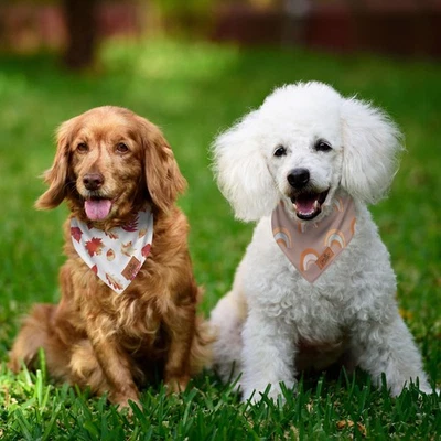 Lot 125 Luxury Grooming Fall Dog Bandanas – Autumn /Rainbow Design Tie On - Image 1 of 4