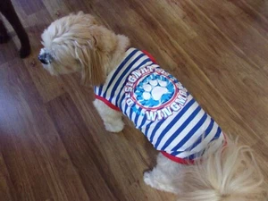 dog shirt, patriotic,"Designated Wingman", July 4th. XS**(read size details) - Picture 1 of 6