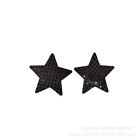 Pair Of Invisible Breast Pasties Adhesive Nipple Cover Sticker Pads Star