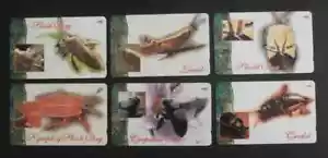SINGAPORE Magnetic SingTel - Set of 6 Animal, Insect: Bee, Locust, Bug, used!!! - Picture 1 of 2