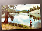 Yellowstone Park Fisherman Waders River Wyoming Vtg Postcard