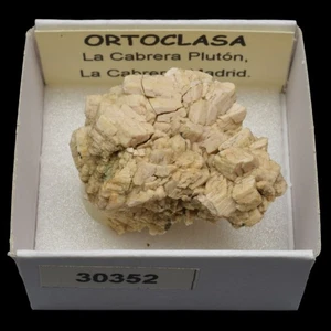 ORTOCLASA xx (La Cabrera pluton, La Cabrera, Madrid) #30352 / Orthoclase - Picture 1 of 1