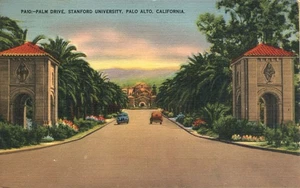 Postal Palm Drive con coches Universidad de Stanford Palo Alto California 1940 - Imagen 1 de 2