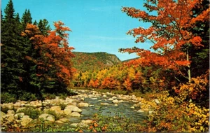 Cartolina Swift River Kancamagus Highway N.H. pubblicata - Foto 1 di 2