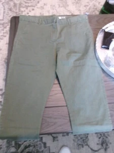 NEW Gap Women's SKINNY Crop Pants Size 12 TWEED GREEN Cotton Flat Front Button - Picture 1 of 6