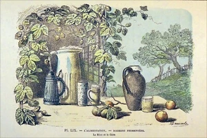BOISSONS FERMENTÉES: LA BIÈRE et LE CIDRE au 19e siècle - Planche du 19e siècle - Picture 1 of 3