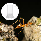  Tragbare Ameisen-Wasser-Futternäpfe, Kunststoff-Ameisen-Futterspender,