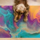 Easy Clean Dog Puppy Cat Feeding Mat Food Pad under Bowl  Colourful designs
