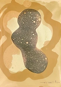 Tonito Original art Chemigram.KODAK Silver RC Paper.Alternative photography 40 - Picture 1 of 2
