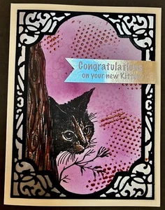 CONGRATULATIONS - NEW KITTEN - handmade MIXED MEDIA card by Dee - Picture 1 of 4