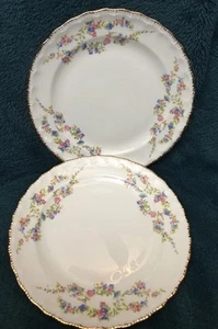 VTG. Set of 2 Pope Gosser BREAD & BUTTER PLATES Pink/Blue "BLUE BELLE" Flowers - Picture 1 of 7