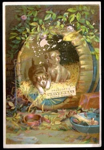 Prescott's Stove Polish Trade Card - Picture 1 of 2